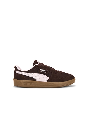 Puma Select Palermo Vintage Sneaker in Brown. Size 10. Also in 6, 6.5, 7, 7.5, 8, 8.5, 9, 9.5.