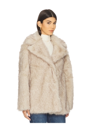 Steve Madden Kindra Coat in Neutral. Size M. Also in L, XL.