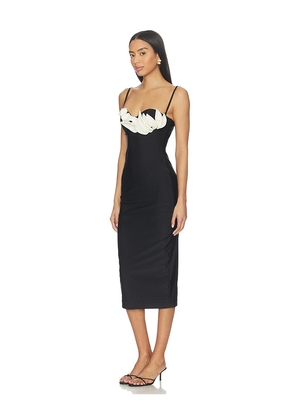 PatBO Selene Mesh Flower Applique Midi Dress in Black. Size S. Also in M, XS.
