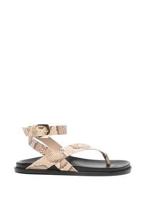 Stuart Weitzman Marykate buckle sandals - Neutrals