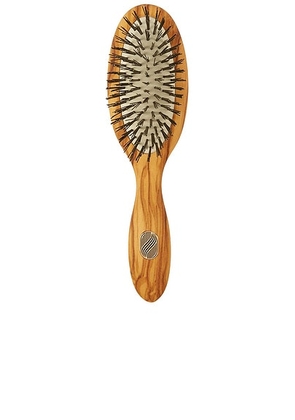 Altesse Studio Beaute Petite Gentle Detangling Brush Fine To Medium in N/A - Tan. Size all.