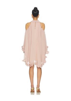 Aniye By Tessa Mini Dress in Beige. Size M. Also in XXS, XS.