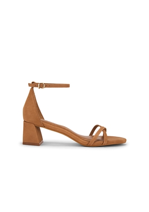 Steve Madden Rae Sandal in Brown. Size 10. Also in 6, 6.5, 7, 7.5, 8, 8.5, 9, 9.5.