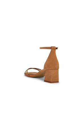 Steve Madden Rae Sandal in Brown. Size 10. Also in 6, 6.5, 7, 7.5, 8, 8.5, 9, 9.5.