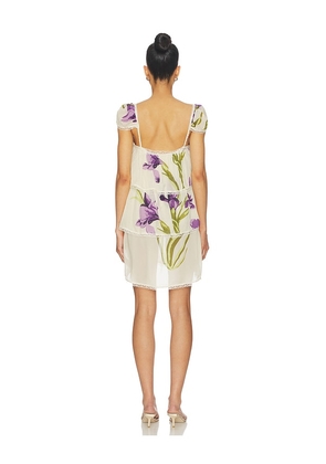 SWF Tiered Sheer Mini Dress in Cream. Size L. Also in XS, S, M, XL.