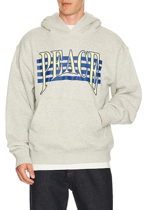 Museum of Peace and Quiet Seventies Hoodie in Ash - Grey. Size L (also in M, S, XL/1X, XS).