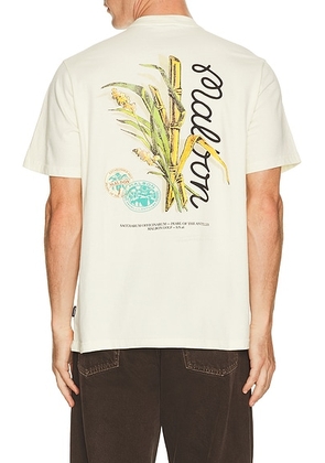 Malbon Golf Origin Tee in Cream - Cream. Size L (also in M, S, XL/1X).