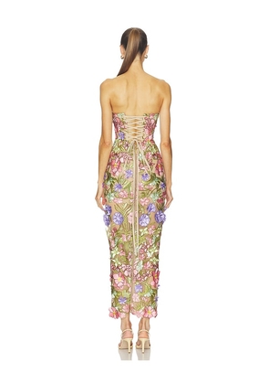 Bronx and Banco Iris Floral Maraya Strapless Ankle Dress in Pink. Size XS. Also in S, M.