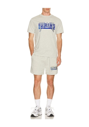 Museum of Peace and Quiet Seventies T-Shirt in Light Grey. Size L. Also in XS, S, M, XL/1X.
