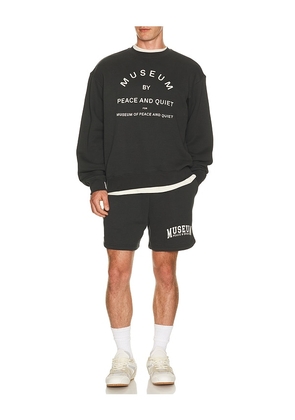 Museum of Peace and Quiet Umpq Sweatshorts in Black. Size L. Also in XS, S, M, XL/1X.