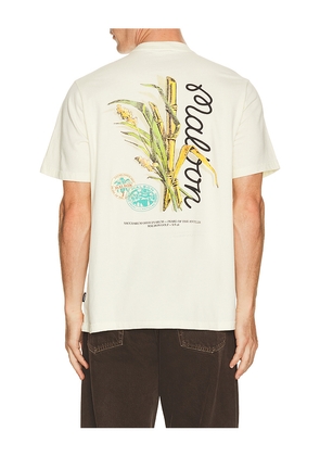 Malbon Golf Origin Tee in Cream. Size L. Also in M, S, XL/1X.