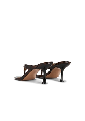 Steve Madden Faroh Sandal in Brown. Size 10. Also in 7.5, 9, 9.5.