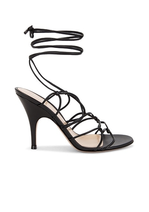 Gianvito Rossi Strappy Sandal in Black - Black. Size 36 (also in 36.5, 37, 37.5, 38, 38.5, 39.5, 40).