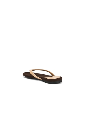 Jeffrey Campbell Kierra Sandal in Brown. Size 6. Also in 6.5, 7, 7.5, 8, 8.5, 9, 9.5, 10, 11.