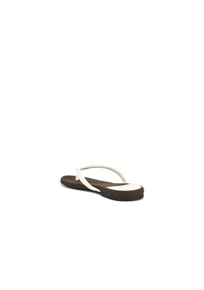 Jeffrey Campbell Kierra Sandal in Ivory,Brown. Size 6. Also in 6.5, 7, 7.5, 8, 8.5, 9, 9.5, 10, 11.