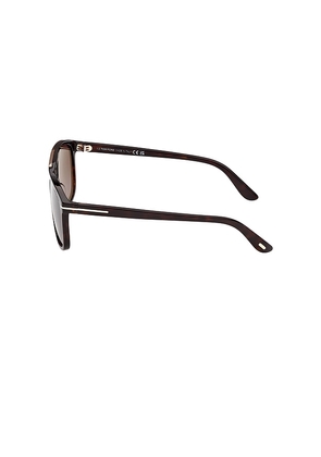 TOM FORD Brianna Sunglasses in Chocolate.
