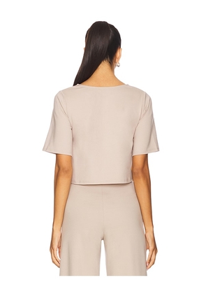 Ripley Rader Ponte Knit Short Sleeve Top in Beige. Size M. Also in L.