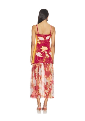 PH5 Ginger Flower Print Tank Dress in Orange,Burgundy. Size XS. Also in S, L.