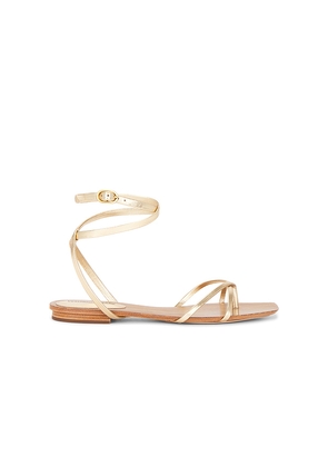 Veronica Beard Allegra Sandal in Metallic Gold. Size 6.5. Also in 7.