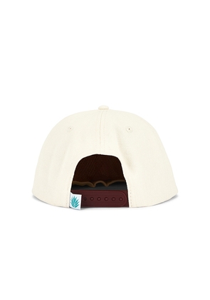 Sendero Provisions Co. Darlin' Trucker Hat in Cream,Burgundy.