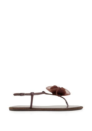 Le Silla Rose thong sandals - Brown