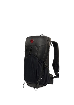 Mammut Ducan 22 backpack - Grey