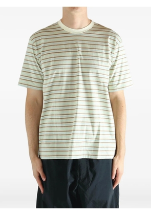 Auralee Gradient Stripe T-shirt - Green