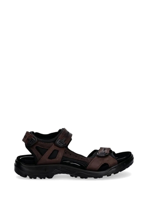 ECCO Offroad strap sandals - Brown