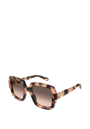 Chloé Eyewear oversized square-frame sunglasses - Brown
