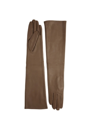 DENTS Mia long gloves - Brown