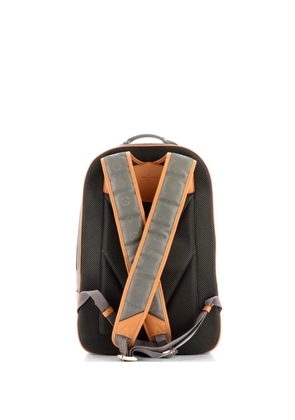 Louis Vuitton Pre-Owned Limited Edition Titanium Monogram Canvas GM backpack - Grey