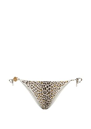 Roberto Cavalli leopard medallion bikini - Neutrals