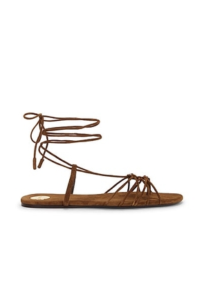 Saint Laurent Babylone Flat Sandal in Dark Havana - Brown. Size 36 (also in 36.5, 38.5, 39, 39.5, 41).