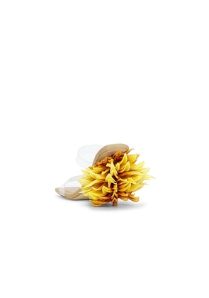Cult Gaia Kiera Sandal in Yellow. Size 36. Also in 36.5, 37.5, 38, 38.5, 40.