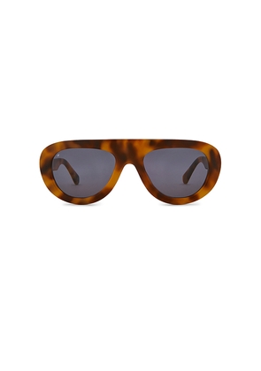 Jimmy Fairly The Gabrie Sunglasses in Cognac.