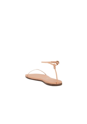 TKEES Square Toe Twiggy Sandal in Nude. Size 7. Also in 5, 6, 8, 9, 10, 11.