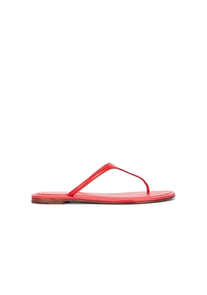 Polo Ralph Lauren Nappa Thong Flat Sandals in Red. Size 6. Also in 7, 8, 8.5, 9, 10.