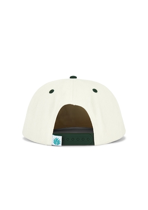 Sendero Provisions Co. Cowboy Hat Trucker Hat in Cream,Green.