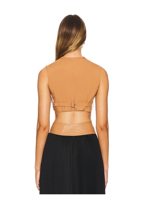 Alexis Revel Top in Tan. Size S. Also in M.