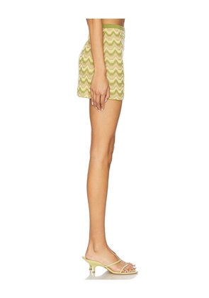 DEVON WINDSOR Lane Skirt in Green. Size M. Also in L, S.