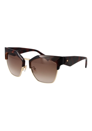 Police Brown Plastic Sunglasses