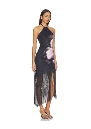 MORE TO COME Deirdre Halter Midi Dress in Black,Rose. Size M. Also in XXS, XS, S, L, XL.
