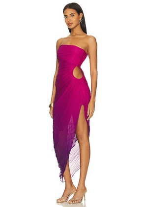 ROCOCO SAND Long Dress in Wine. Size XXS. Also in XS.