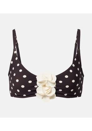Karla Colletto Floral-applique polka-dot bikini top