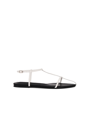 Tony Bianco Noho Sandal in White. Size 7. Also in 7.5.
