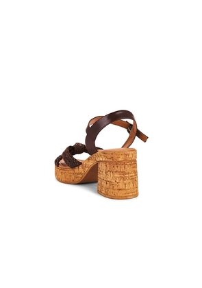 Seychelles Musical Sandal in Brown. Size 8.5. Also in 8, 9.