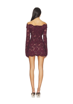 retrofete Perdita Lace Dress in Purple. Size M. Also in XS, S.