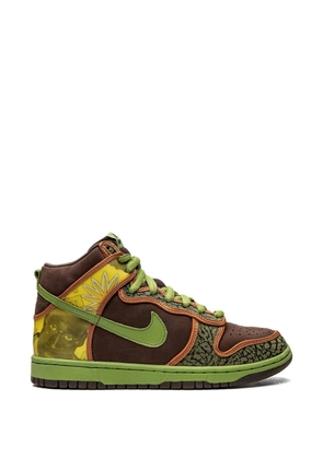 Nike Dunk High Pro SB sneakers - Brown