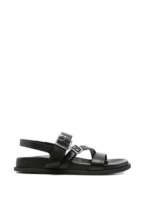 GUGLIELMO ROTTA buckle-strap leather sandals - Black