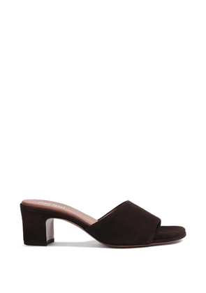 Paris Texas Ava block-heel mules - Brown